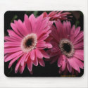In Pink G_4 Mousepad by glo53bug In Pink G_4 Mousepad