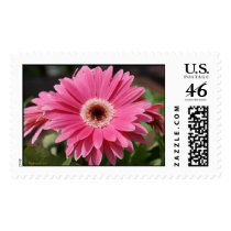 In Pink Large Postage