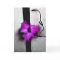 In Pink M_98 Blank Greeting Card by glo53bug In Pink M_98 Blank Greeting Card