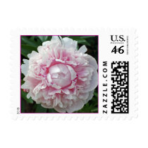 In Pink P_288 Postage