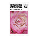 In Pink Postage postage