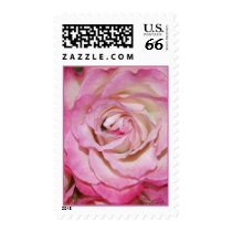 In Pink Postage