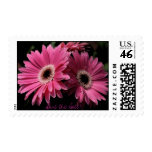 In Pink Save the Date Postage
