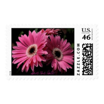 In Pink Save the Date Postage