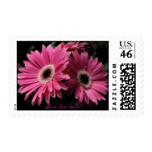 In Pink Save the Date Postage