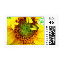 In Quest for Sun postage by patrickrp In Quest for Sun postage
