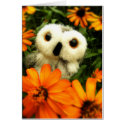 In Search For Fairies cards by Heartworks In Search For Fairies cards
