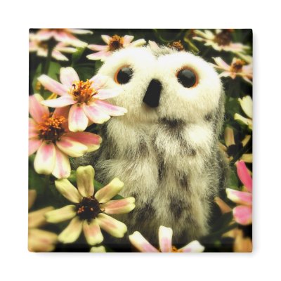 In Search For Fairies Magnets by Heartworks