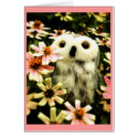 In Search Of Fairies cards by Heartworks In Search Of Fairies cards