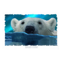 IN SEARCH OF ICE ~ Art Poster posters