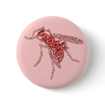 In sect buttons