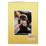 In Several Dumpsters cards