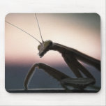 In Silhouette - Praying Mantis Mousepad