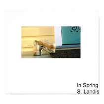 In Spring posters by Nasty_Little_Dog In Spring posters