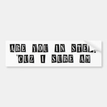 In step bumper sticker