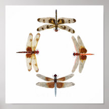 In Sync- Circle of Dragonflies Art Poster