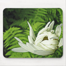 "In the beginning..." Mousepads