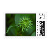 In the Beginning Stamp by isouz59 In the Beginning Stamp