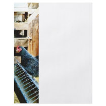 In the Chicken Coop Flyer