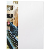 In the Chicken Coop Personalized Letterhead