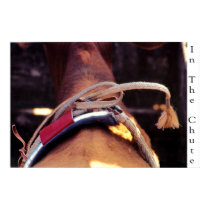 In The Chute posters