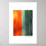 In The City Print