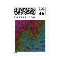 In the cosmos 2 stamp
