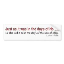In the Days of Noah (white, version 2) Bumper Stickers