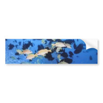 in the deep blue sea... bumper stickers