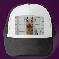 "In the Doghouse" hats