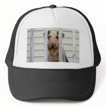"In the Doghouse" hats by hopefulone "In the Doghouse" hats