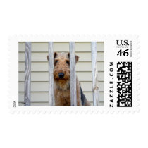 "In the Doghouse" Postage