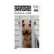 "In the Doghouse" Stamp