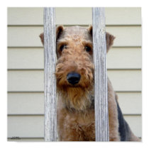 "In the Doghouse" Poster posters by hopefulone "In the Doghouse" Poster posters