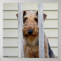 "In the Doghouse" Poster