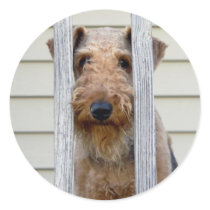 "In the Doghouse" Round Stickers