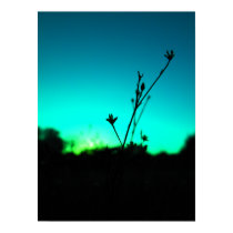 In The Dream Photography Art Poster posters