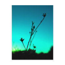 In The Dream Postcard