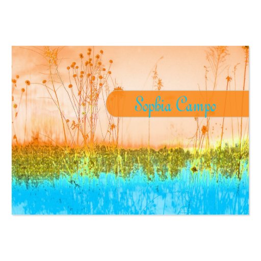 In the field, colorful businesscards template business card (front side)