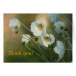 In the footsteps of angels cards