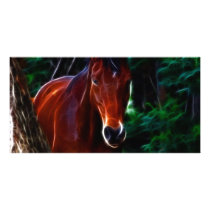 In The Forest photo cards by laureenr In The Forest photo cards