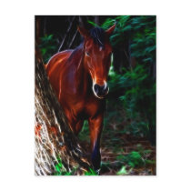 In The Forest postcards