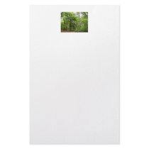 In the Forrest Stationary stationery by Flash_Light_Photos In the Forrest Stationary stationery