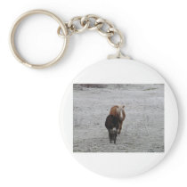 In the frost key chains