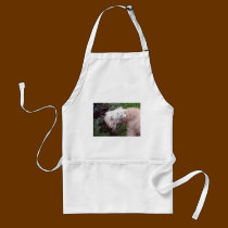 In the Garden aprons