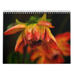 In the Garden Wall Calendars