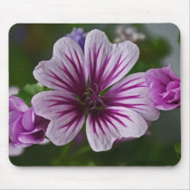 In the Garden Mousepad