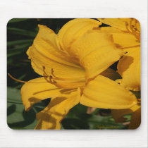 In the Garden Mousepad