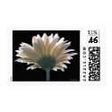 In the Garden - Postage postage