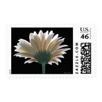In the Garden - Postage
